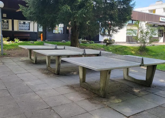 Sonnenberg Hahnenklee Daire