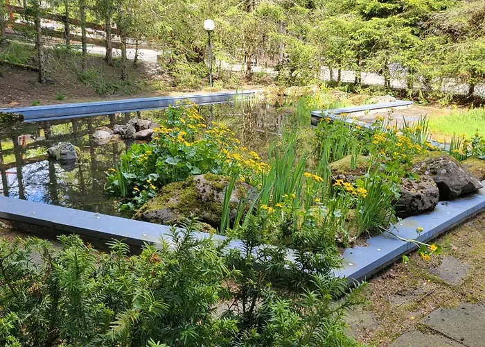 Sonnenberg Hahnenklee *